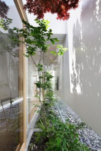 mẫu vườn giữa nhà được trang trí đơn giản