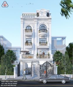 Biệt thự tân cổ điển đẹp, mặt tiền 8m 025